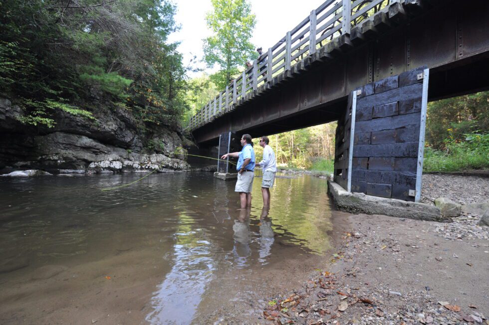 Unveiling the Historical Tapestry Exploring the Rich History of