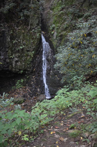 Damascus waterfall backbone rock
